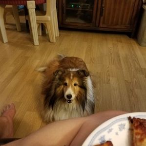 Meet your Posher, Alan